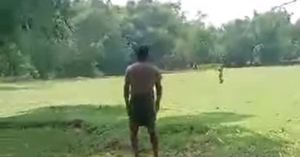 লালমনিরহাট সীমান্তে দুই বাংলাদেশিকে পিটিয়ে গরু নিয়ে গেল বিএসএফ