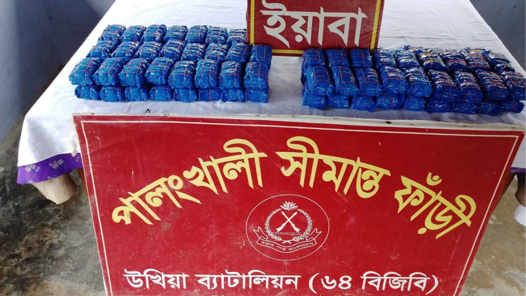 কক্সবাজারে বিজিবির অভিযানে ১ লাখ ৯০ হাজার ইয়াবা জব্দ