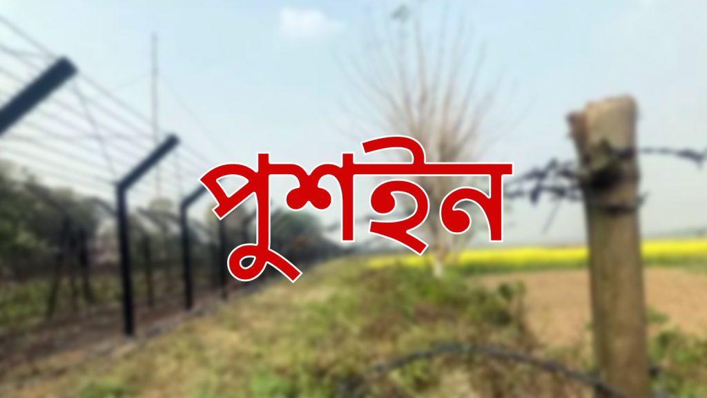 মৌলভীবাজার সীমান্তে ১৭ রোহিঙ্গাকে পুশইন করল বিএসএফ