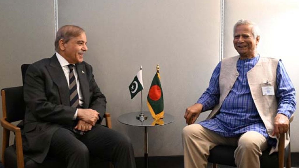 নিউইয়র্কে পাকিস্তানের প্রধানমন্ত্রীর সঙ্গে প্রধান উপদেষ্টার বৈঠক