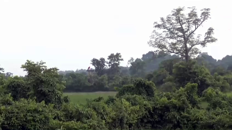 জান্তার পেতে রাখা মাইনে ৮ বছরে পঙ্গু অর্ধশত বাংলাদেশি