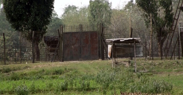 সীমান্তে ঘাস কাটার সময় যুবককে ধরে নিয়ে গেছে বিএসএফ