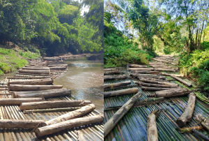 বর্মাছড়িমুখ এলাকায় সেনা অভিযানে ৪ হাজার ঘনফুট অবৈধ কাঠ উদ্ধার: ইউপিডিএফ সংশ্লিষ্টতার অভিযোগ