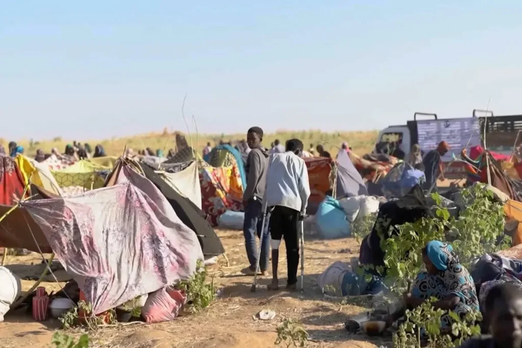 সুদানে আরএসএফের ড্রোন হামলায় নারী ও শিশুসহ নিহত ৪০