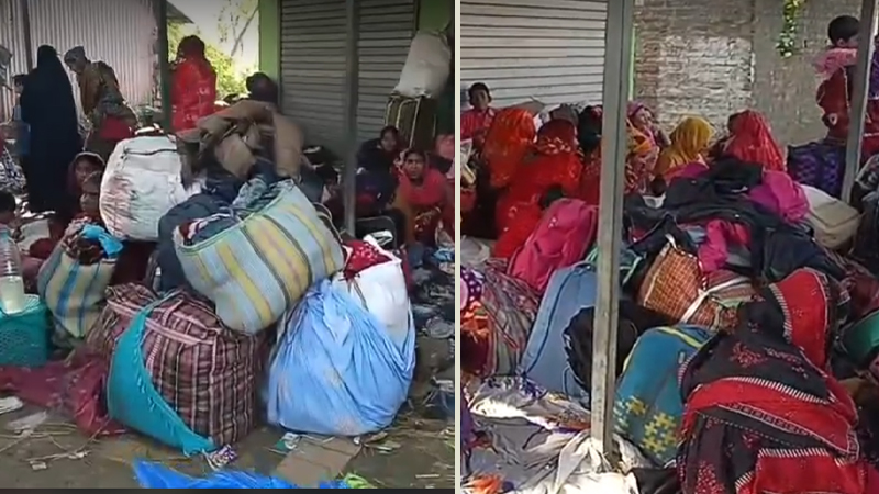 চরমে এসআইআর আতঙ্ক: বাংলাদেশে অনুপ্রবেশের অপেক্ষায় ৩০০ জন