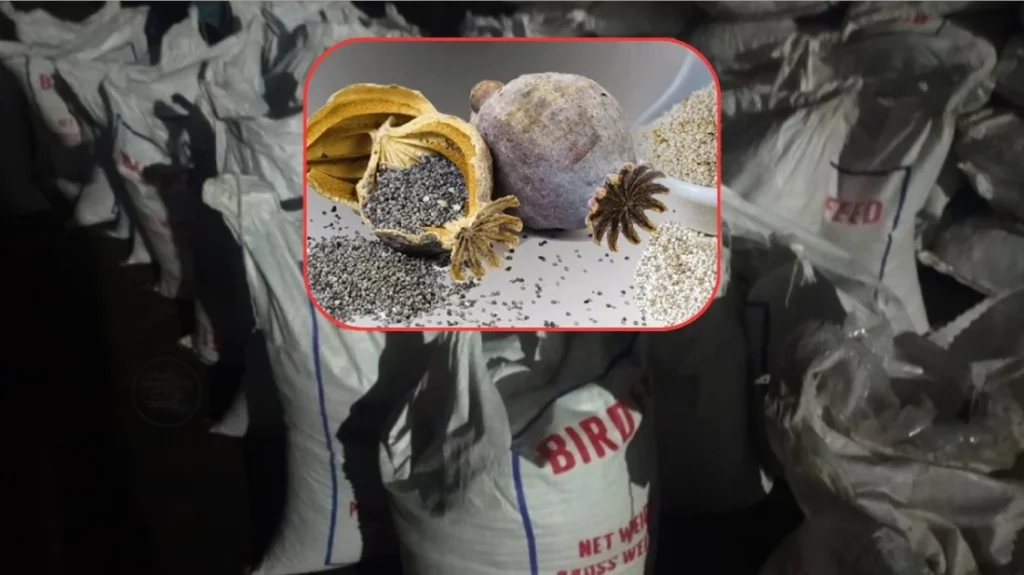 পাখির খাদ্যের আড়ালে এল আমদানি নিষিদ্ধ মাদক পপি বীজ