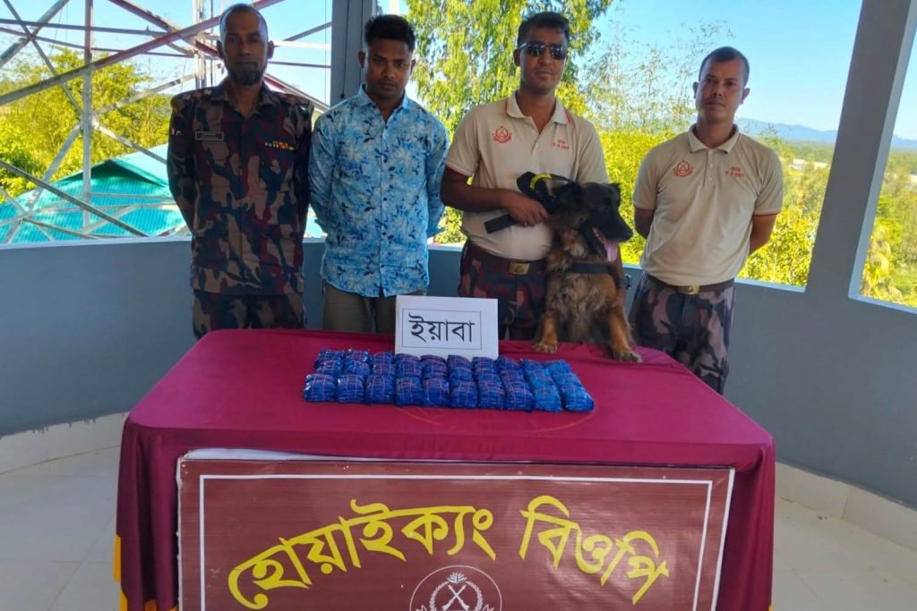 উখিয়ায় বিজিবি চেকপোস্টে ডগ রকি খুঁজে পেল ৬০ হাজার ইয়াবা
