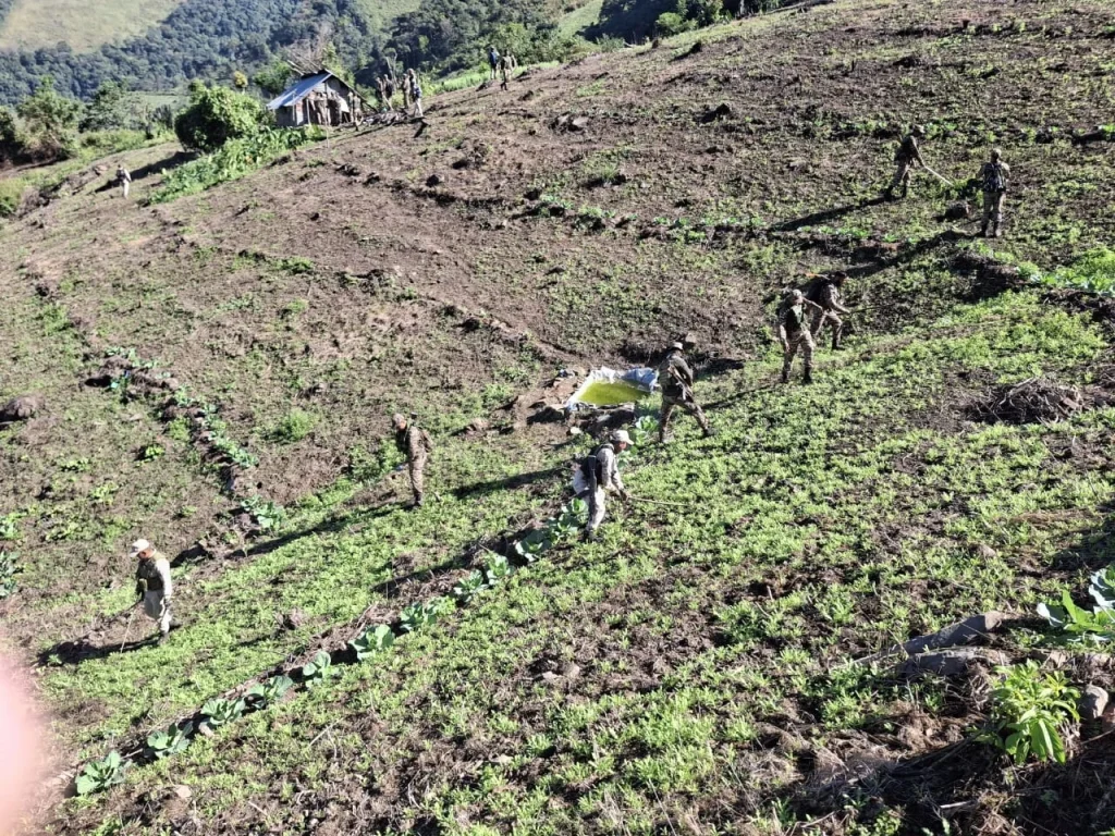 মণিপুরে নিরাপত্তা বাহিনীর অভিযানে ৫৬ একর পোস্ত ক্ষেত ধ্বংস, মাদকচক্রে বড় ধাক্কা