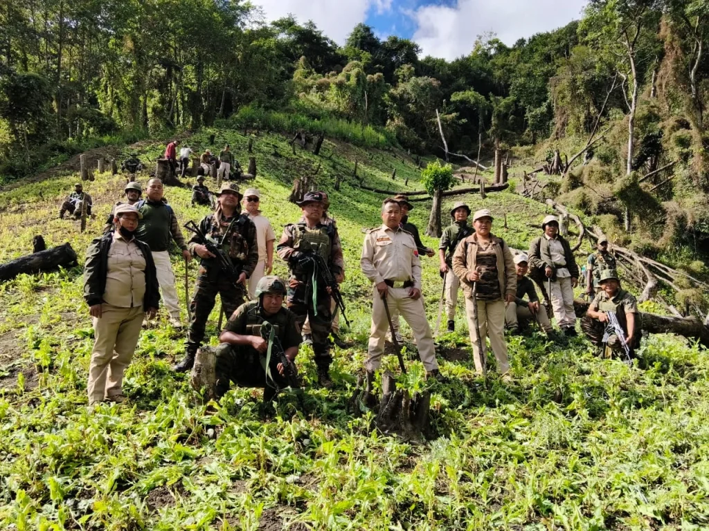 মণিপুরে যৌথ অভিযানে ১৮ একর অবৈধ আফিমক্ষেত ধ্বংস