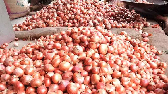 মুখ ফিরিয়েছে বাংলাদেশ, পেঁয়াজ নিয়ে বিপাকে ভারতীয় রপ্তানিকারকেরা