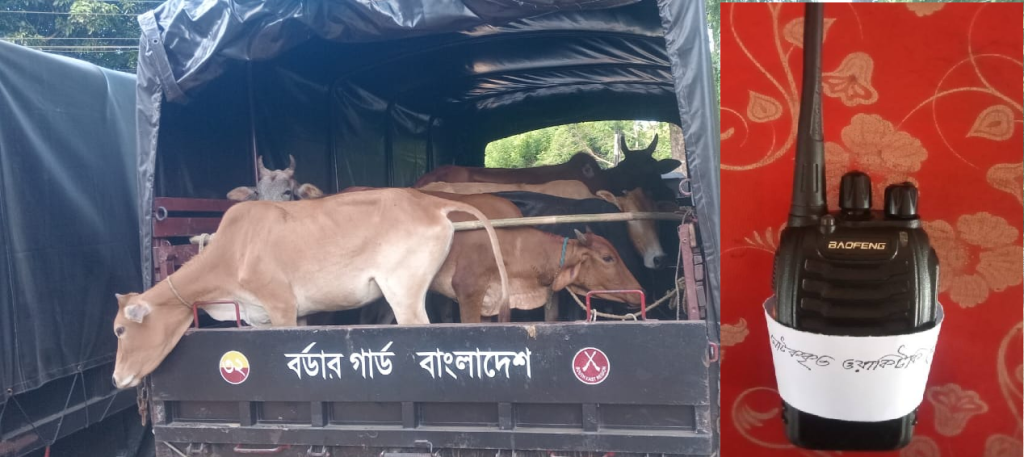 খাগড়াছড়িতে ৩২ বিজিবির অভিযানে ৪২টি ভারতীয় গরু আটক, ওয়াকিটকি উদ্ধার