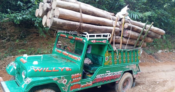 বর্মাছড়িমুখ এলাকায় ফের সেনা অভিযান: অবৈধভাবে পাচারকালে ৪ লক্ষ টাকার কাঠ উদ্ধার