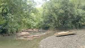 লক্ষীছড়িতে অবৈধ ভাবে পাচারকালে সেনাবাহিনীর অভিযানে বিপুল পরিমাণ কাঠ জব্দ