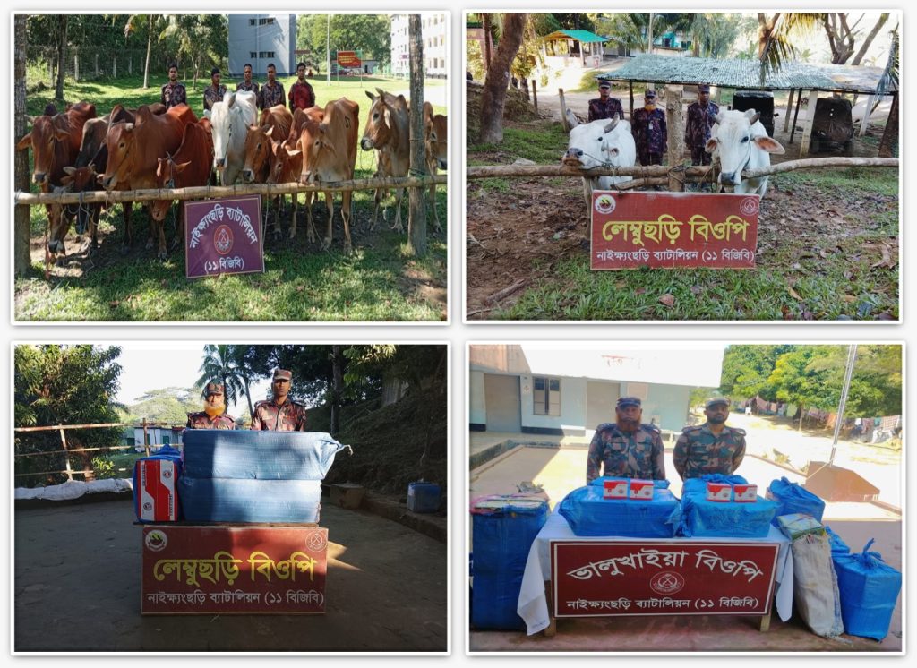 নাইক্ষ্যংছড়ি সীমান্তে বিজিবির অভিযানে ১৩ বার্মিজ গরু ও বিপুল পরিমাণ চোরাচালান পণ্য জব্দ