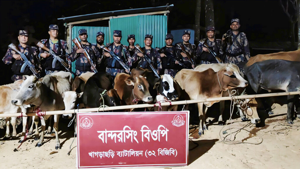 মাটিরাঙ্গায় অবৈধভাবে ভারত থেকে আনা ১২টি গরু জব্দ করল বিজিবির খাগড়াছড়ি ব্যাটালিয়ন
