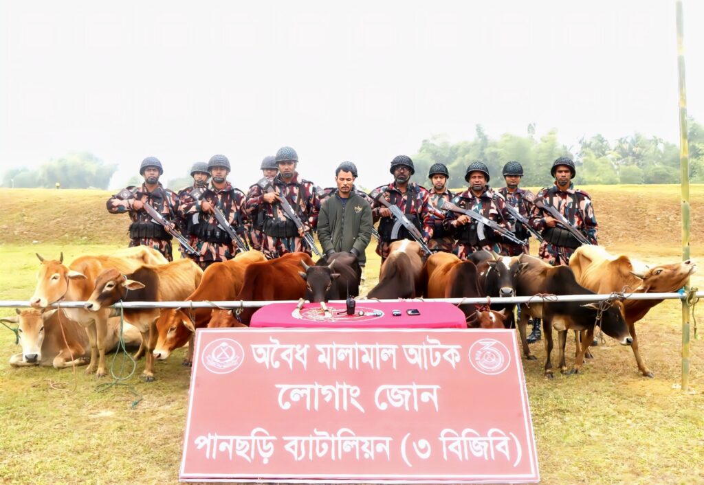 পানছড়ি সীমান্তে বিজিবির ভোরের অভিযান: ১১টি ভারতীয় গরুসহ চোরাকারবারি আটক