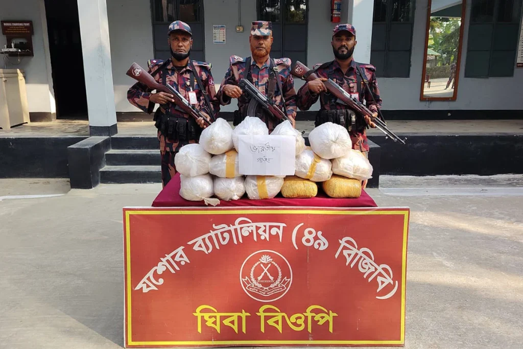 যশোরের সীমান্তে ৪১ কেজি ভারতীয় গাঁজা উদ্ধার করল বিজিবি