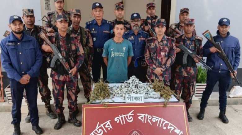 গোয়েন্দা তৎপরতায় থানচির গহীন জঙ্গলে ২ একর জমিতে গাঁজা চাষের সন্ধান, যৌথবাহিনীর অভিযান