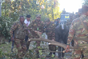 সাজেকে বনবিভাগের কার্যালয়ে ইউপিডিএফের হামলা-ভাঙচুর: বনরক্ষি আহত, ব্যর্থ অপহরণচেষ্টা