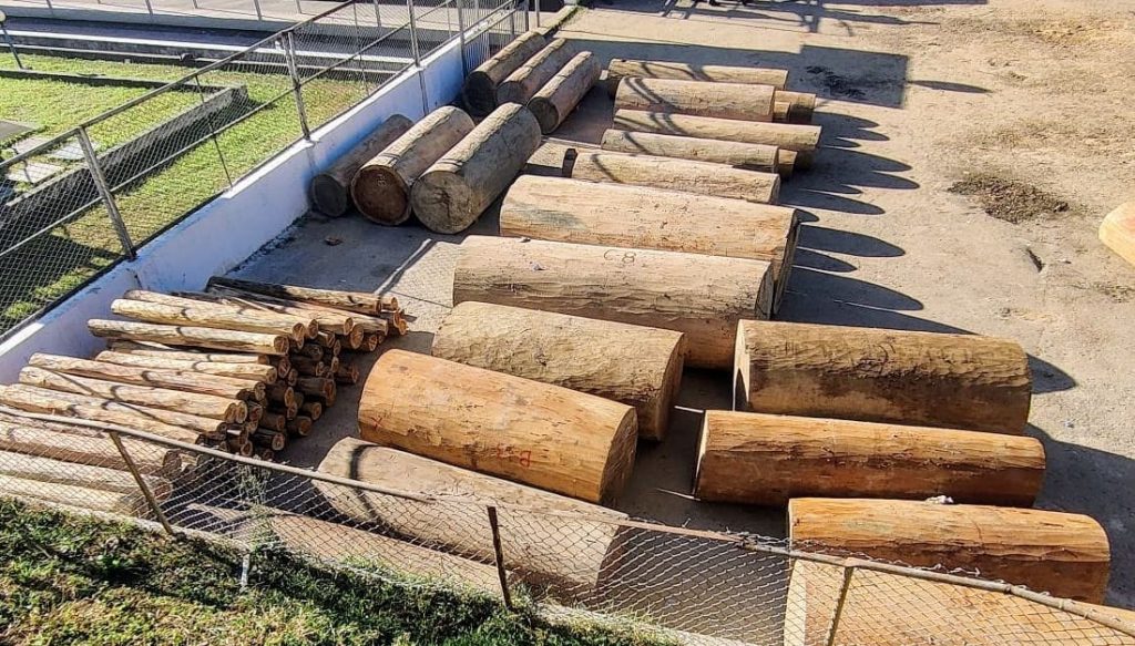 গুইমারায় সেনাবাহিনীর বিশেষ অভিযান: ৬৮০ ঘনফুট অবৈধ কাঠ জব্দ