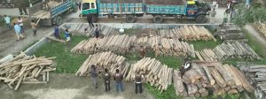 বান্দরবানে সেনাবাহিনীর অভিযানে কোটি টাকার অবৈধ কাঠ জব্দ