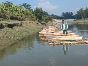 অবৈধভাবে পাচারকালে বর্মাছড়ির মগকাটায় সেনা অভিযানে বিপুল পরিমাণ কাঠ জব্দ