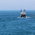 নিখোঁজের ২১ দিন পর ভারত থেকে ১৩ বাংলাদেশি জেলের ভিডিও কল