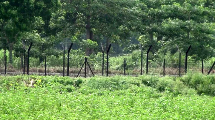 ভারতে অনুপ্রবেশের চেষ্টা: সীমান্ত থেকে বাংলাদেশী যুবককে আটক করে নিয়ে গেল বিএসএফ