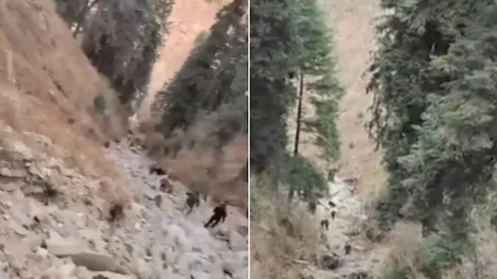 জম্মু ও কাশ্মীরে গাড়ি খাদে পড়ে ভারতীয় ১০ সেনা নিহত