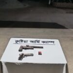 ভেড়ামারায় গভীর রাতে সেনাবাহিনীর যৌথ অভিযান, বিদেশি পিস্তলসহ অস্ত্র উদ্ধার