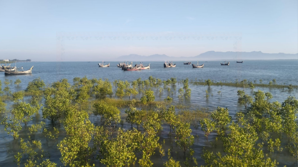 মিয়ানমার থেকে আসা গুলিতে বাংলাদেশি জেলে আহত