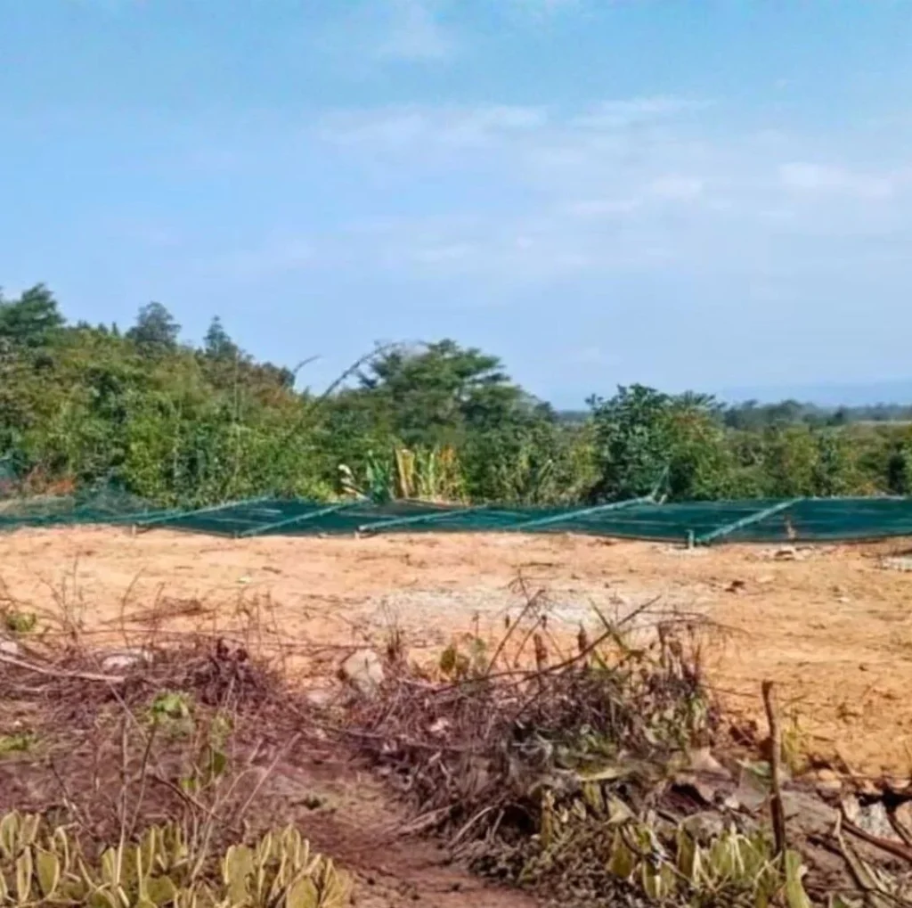 ভারত–মিয়ানমার সীমান্তে কাঁটাতার ভাঙচুর: চন্দেল জেলায় নতুন করে উত্তেজনা