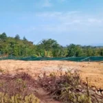 ভারত–মিয়ানমার সীমান্তে কাঁটাতার ভাঙচুর: চন্দেল জেলায় নতুন করে উত্তেজনা