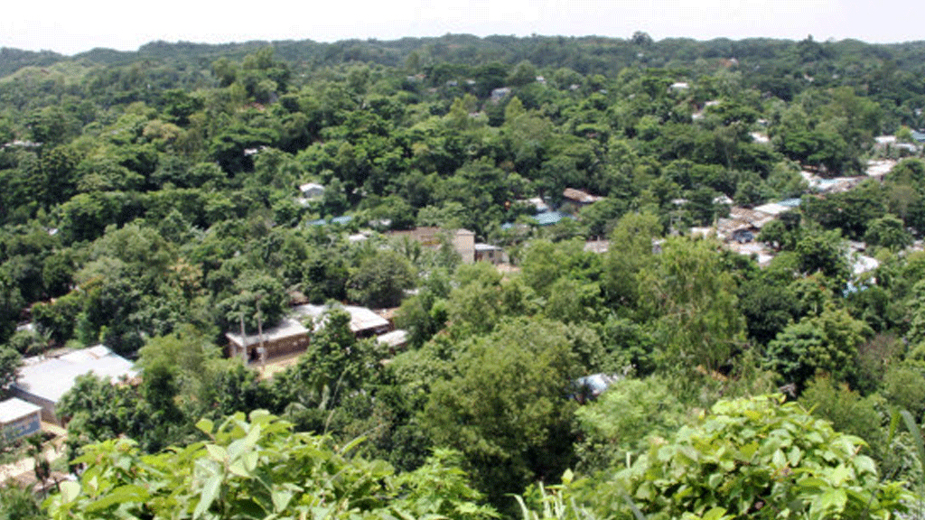 জঙ্গল সলিমপুরে সন্ত্রাসীদের হামলায় র‍্যাব কর্মকর্তা নিহত, তিন সদস্য জিম্মি