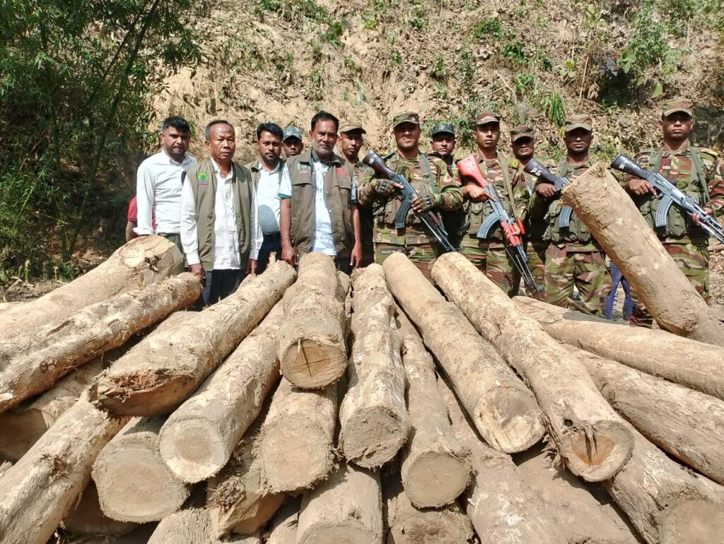আলীকদম সেনা জোনের সফল অভিযানে বিপুল পরিমাণ সেগুন ও গামারী কাঠ উদ্ধার