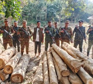 আলীকদম সেনা জোনের সফল অভিযানে বিপুল পরিমাণ সেগুন ও গামারী কাঠ উদ্ধার
