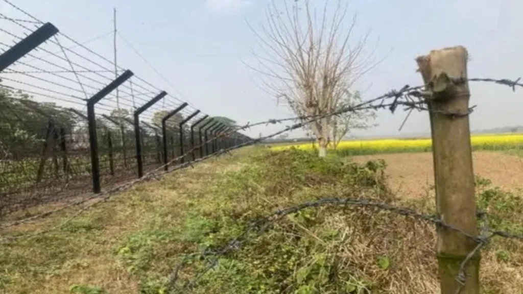 চাঁপাইনবাবগঞ্জ সীমান্ত থেকে বাংলাদেশি দুই যুবককে ধরে নিয়ে গেলো ভারতীয় পুলিশ