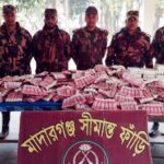 কুড়িগ্রামের বি‌ভিন্ন সীমান্তে বি‌জি‌বির অভিযানে ৩০ লাখ টাকার চোরাই পণ্য জব্দ