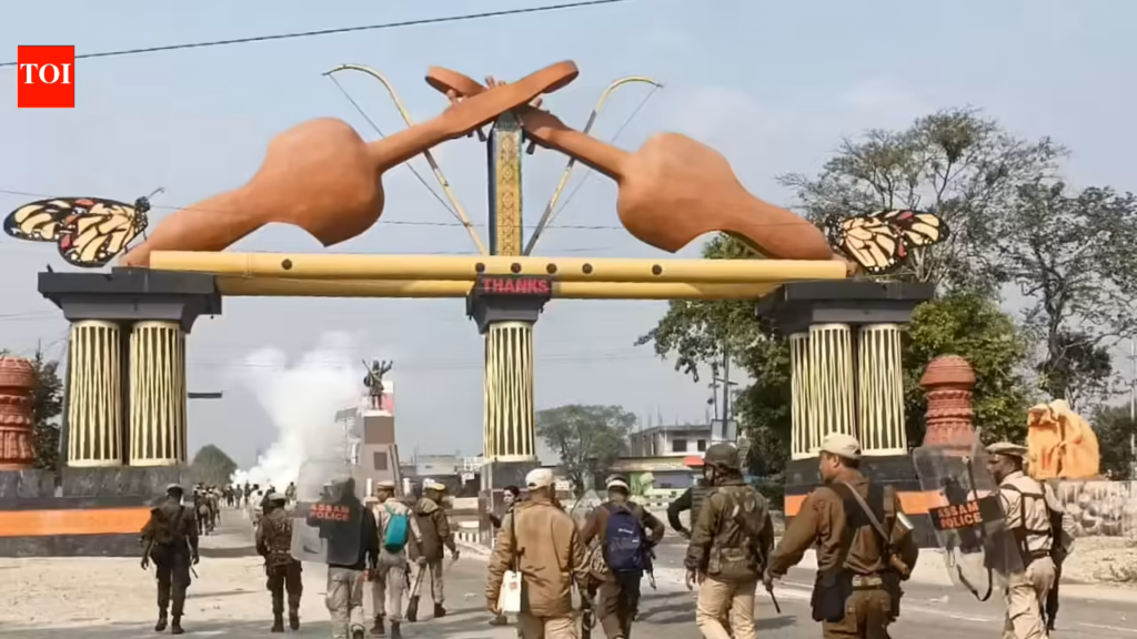 আসামে সহিংসতা ঠেকাতে সেনা মোতায়েন, দুই নিহতের ঘটনায় উত্তপ্ত পরিস্থিতি