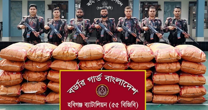 হবিগঞ্জে বিজিবির অভিযানে বিপুল পরিমান ভারতীয় জিরা জব্দ