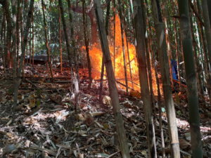 বান্দরবানের দুর্গম পাহাড়ে সেনাবাহিনীর ১৬ ইস্ট বেঙ্গলের অভিযান, সশস্ত্র গোষ্ঠীর আস্তানা ধ্বংস