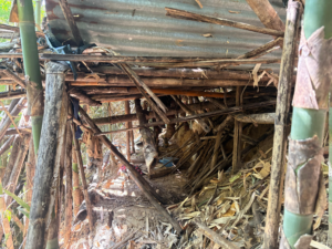 বান্দরবানের দুর্গম পাহাড়ে সেনাবাহিনীর ১৬ ইস্ট বেঙ্গলের অভিযান, সশস্ত্র গোষ্ঠীর আস্তানা ধ্বংস