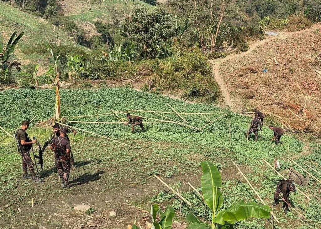 থানচিতে যৌথ বাহিনীর অভিযানে প্রায় ১১ কোটি টাকা মূল্যের ২৯ একর পপিক্ষেত ধ্বংস