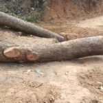 এবার লংগদু-নানিয়ারচর সড়কের মাঝে মাটি কেটে প্রতিবন্ধকতা সৃষ্টি করল ইউপিডিএফ সন্ত্রাসীরা