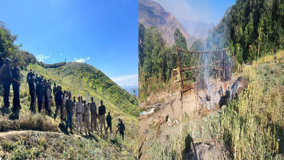 মণিপুরে নিরাপত্তা বাহিনীর দুই জেলায় যৌথ অভিযানে ৩০ একর পপি ক্ষেত ধ্বংস