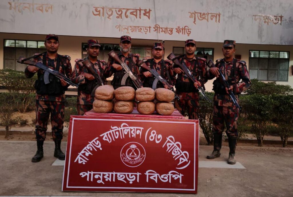 পানুয়াছড়া সীমান্তে ফাঁদ পেতে ভারত থেকে আনা ২৪ কেজি গাঁজা জব্দ করল বিজিবি