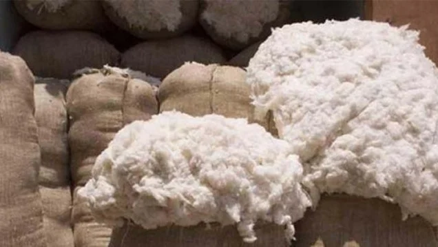 পোশাক রপ্তানিতে শুল্কমুক্ত সুবিধা পেতে ভারতীয় তুলার বদলে মার্কিন তুলার দিকে ঝুঁকছে বাংলাদেশ