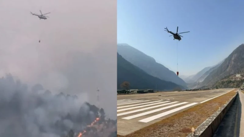 পাঁচ দিন ধরে দাবানলে পুড়ছে ভারতের অরুণাচল-নাগাল্যান্ড