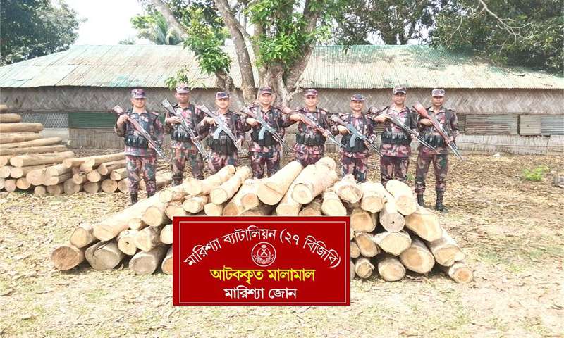 বাঘাইছড়িতে বিজিবির অভিযানে বিপুল পরিমাণ অবৈধ সেগুন কাঠ জব্দ