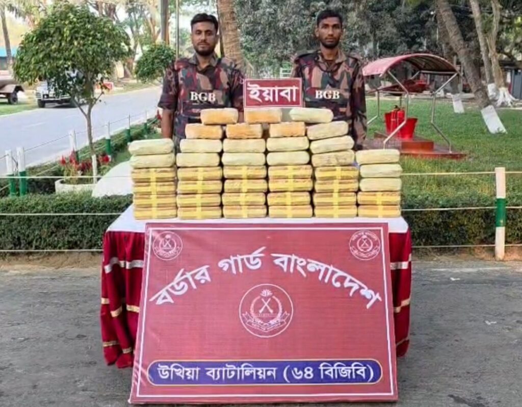 টেকনাফ সীমান্তে বিজিবির অভিযানে ৪ লাখ ২০ হাজার ইয়াবা উদ্ধার